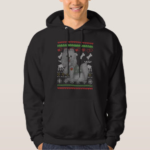 Pomeranian Dog Santa Claus Ugly Christmas Pattern Hoodie
