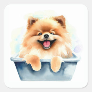 Pomeranian Dog Square Sticker