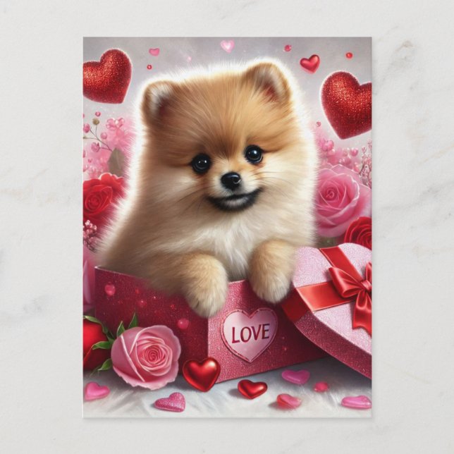  Pomeranian Dog Valentine's Day Holiday Postcard (Front)