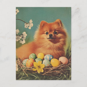 Pomeranian dog Vintage Easter Postcard