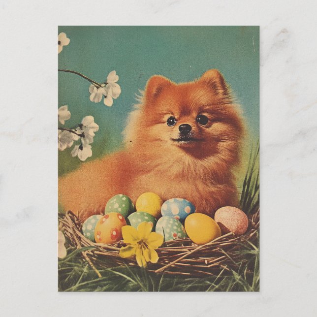 Pomeranian dog Vintage Easter Postcard (Front)