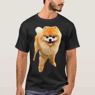 Pomeranian Dog With T-Shirt