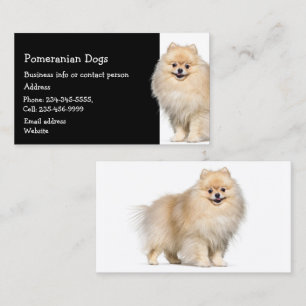 Pomeranian Dogs Breeder Pet Sitter  Business Card