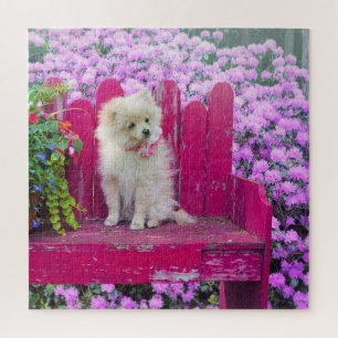 Pomeranian Dogs Flowers Floral Jigsaw Puzzle