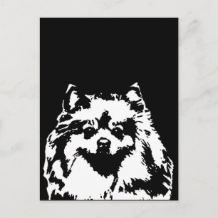 Pomeranian Gifts - Postcard
