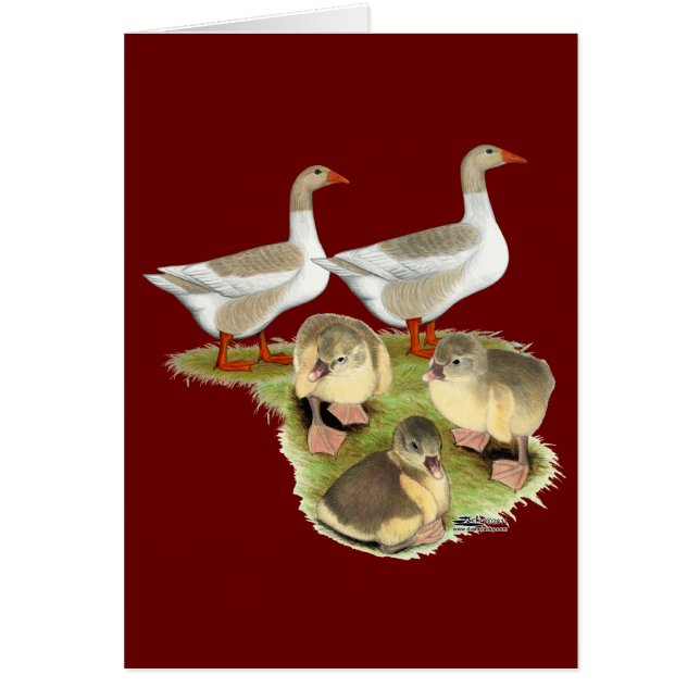 Pomeranian Goose Family (Front)