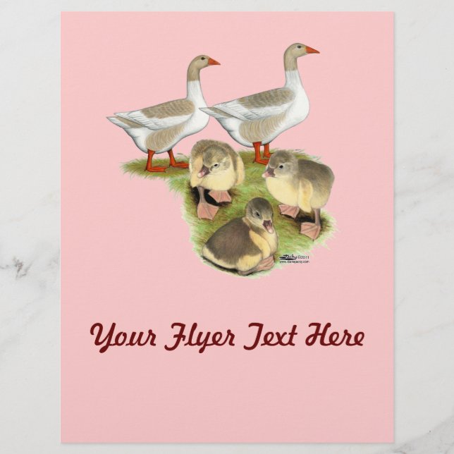 Pomeranian Goose Family Flyer (Front)