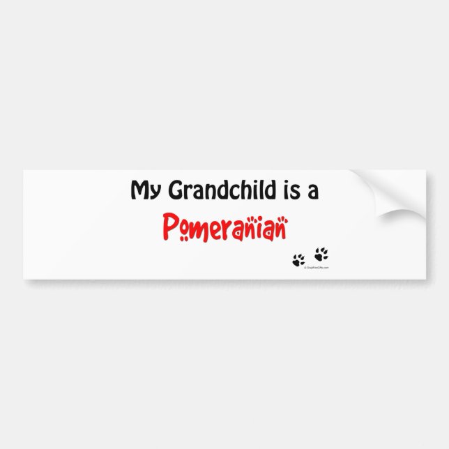 Pomeranian Grandchild Bumper Sticker (Front)