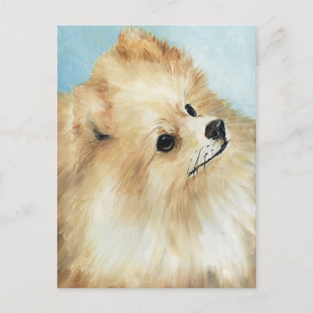 "Pomeranian Head Study Dog Art Postcard (Front)