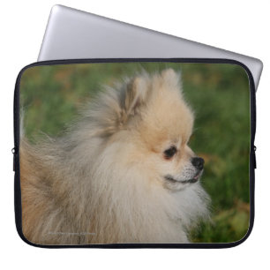 Pomeranian Headshot 2 Laptop Sleeve