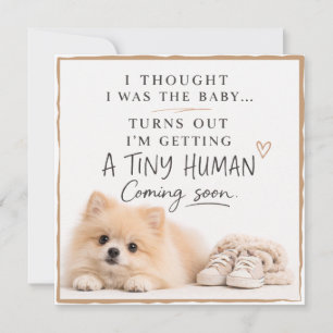Pomeranian I Thought I Was the Baby Pregnancy Card
