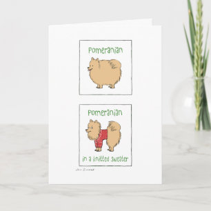 Pomeranian in a Knitted Sweater Funny Christmas Holiday Card
