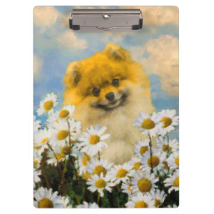 Pomeranian in Daisies Painting - Original Dog Art Clipboard