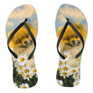 Pomeranian in Daisies Painting - Original Dog Art Jandals