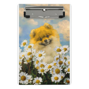Pomeranian in Daisies Painting - Original Dog Art Mini Clipboard