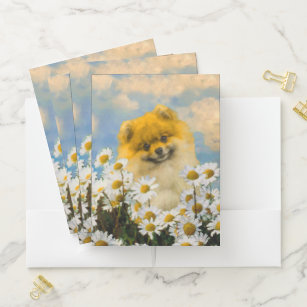 Pomeranian in Daisies Painting - Original Dog Art Pocket Folder