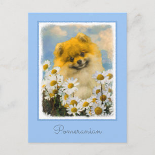 Pomeranian in Daisies Painting - Original Dog Art Postcard