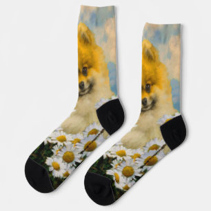 Pomeranian in Daisies Painting - Original Dog Art Socks