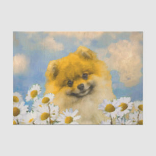 Pomeranian in Daisies Painting - Original Dog Art Tissue Paper
