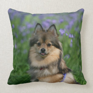 Pomeranian in the Grass Cushion