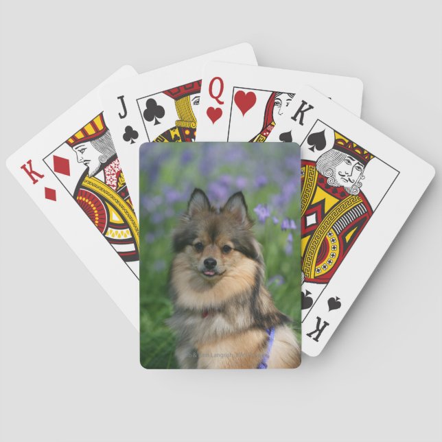 Pomeranian in the Grass Playing Cards (Back)