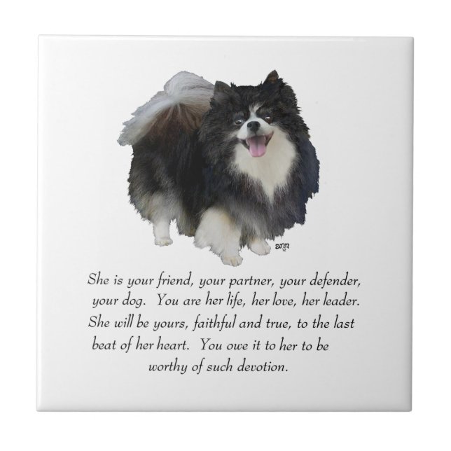 Pomeranian Keepsake Female Tile (Front)