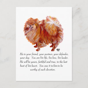 Pomeranian Keepsake Male Postcard