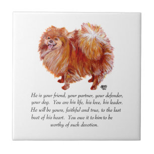 Pomeranian Keepsake Male Tile