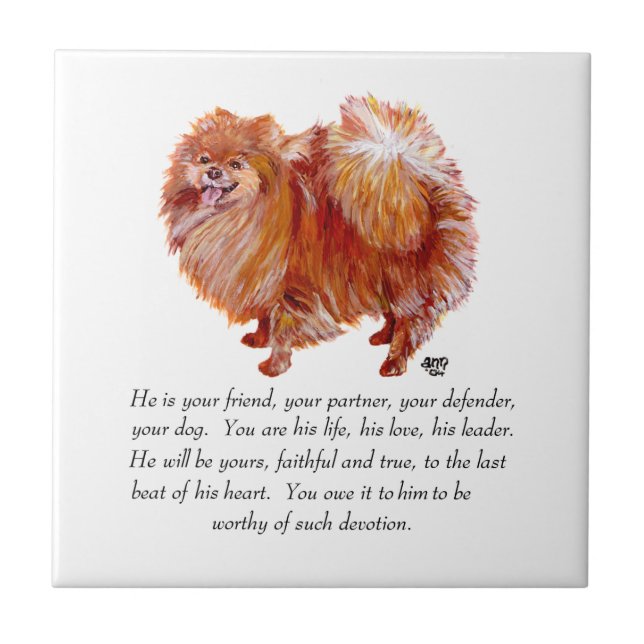 Pomeranian Keepsake Male Tile (Front)