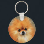 Pomeranian Key Ring<br><div class="desc">The Pomeranian is a breed of dog in the spitz family, named for the Pomerania region in Central Europe, which is today part of northern Poland and part of modern eastern Germany, and classed as a toy dog breed because of its small size. As determined by the FCI the Pomeranian...</div>