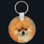 Pomeranian Key Ring<br><div class="desc">The Pomeranian is a breed of dog in the spitz family, named for the Pomerania region in Central Europe, which is today part of northern Poland and part of modern eastern Germany, and classed as a toy dog breed because of its small size. As determined by the FCI the Pomeranian...</div>