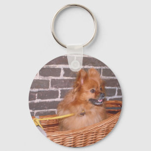 Pomeranian Key Ring