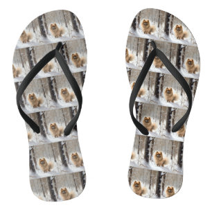 Pomeranian Let It Snow Christmas Jandals