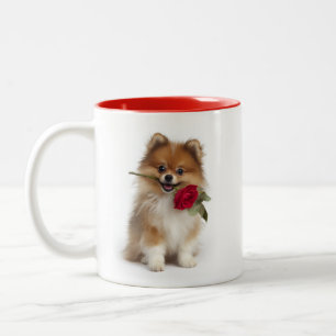 Pomeranian Love Two-Tone Coffee Mug