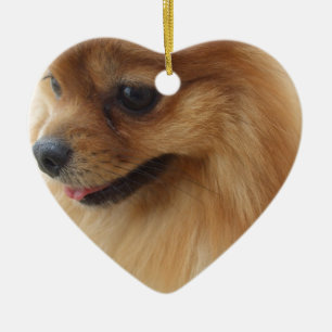 Pomeranian Lover Ceramic Tree Decoration