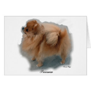 Pomeranian Lovers Gifts