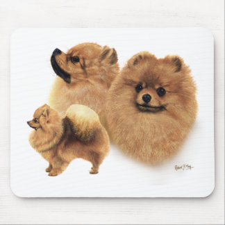 Pomeranian Mouse Pad