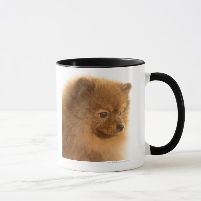 Pomeranian Mug (Right)