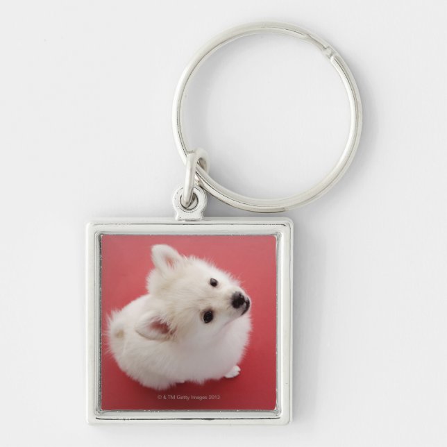 Pomeranian on the Red Carpet Key Ring (Front)