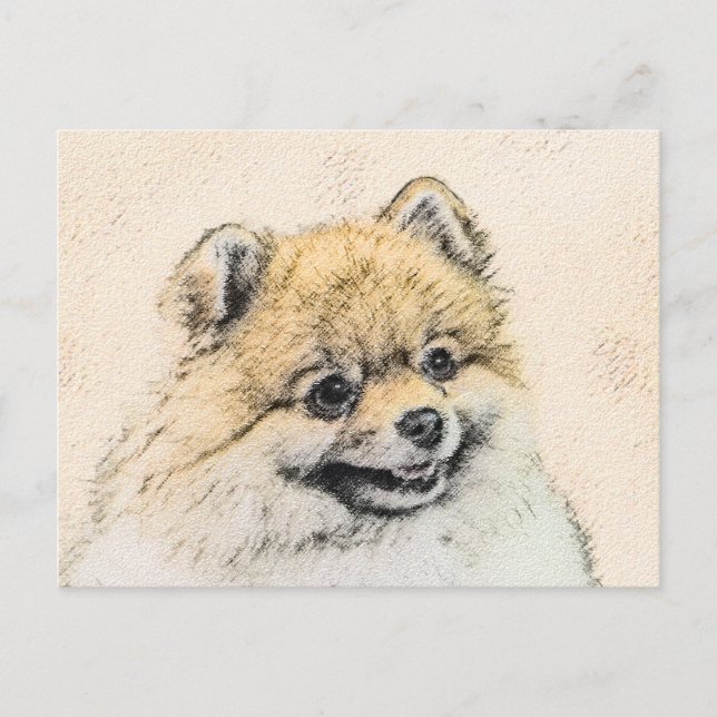 Pomeranian (Orange) Painting - Original Dog Art Postcard (Front)
