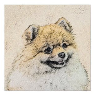 Pomeranian (Orange) Painting - Original Dog Art Poster