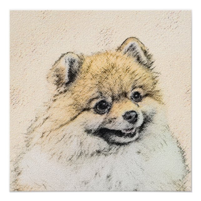 Pomeranian (Orange) Painting - Original Dog Art Poster (Front)