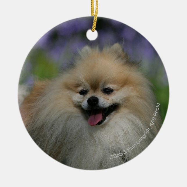 Pomeranian Panting Ceramic Tree Decoration (Front)