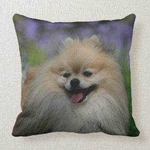 Pomeranian Panting Cushion
