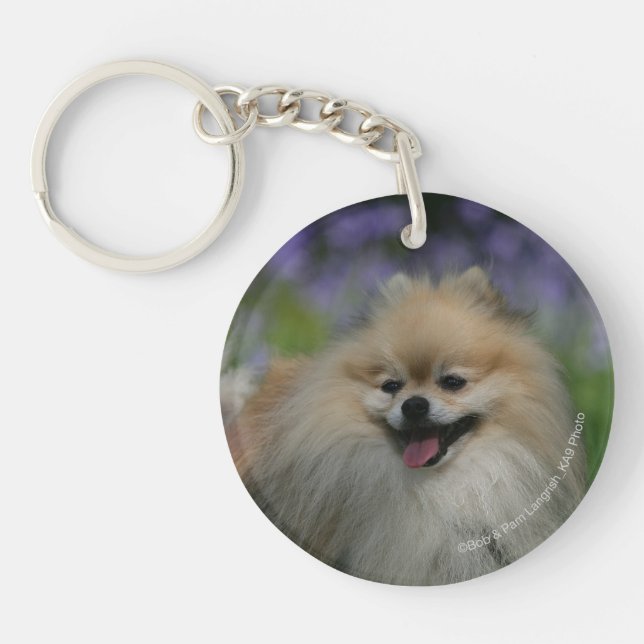 Pomeranian Panting Key Ring (Front)