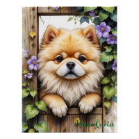 Pomeranian Peeking Through a Wooden Gate
