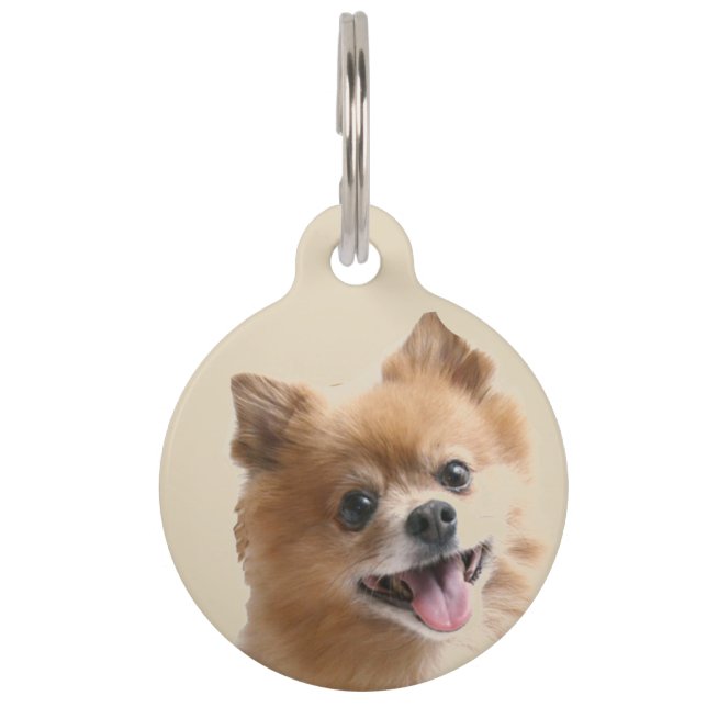Pomeranian Pet Tag (Front)
