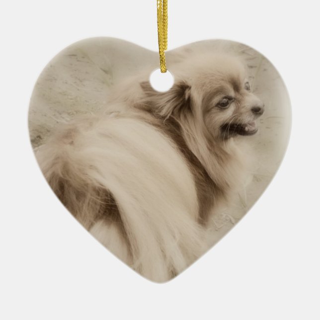 Pomeranian Photo - Dreamy Pom Ceramic Tree Decoration (Front)