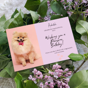  Pomeranian Pink & Lavender Birthday Card