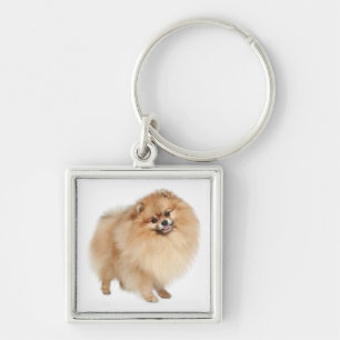 Pomeranian Pom Pom Puppy Dog Keychain